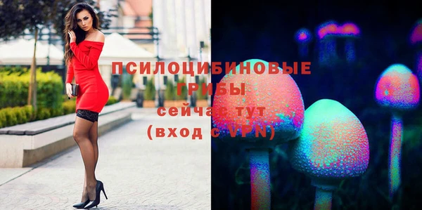 MESCALINE Богородицк