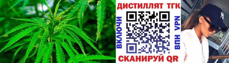 hydra ССЫЛКА  купить наркотики сайты  Краснозаводск  Дистиллят ТГК THC oil 