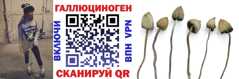 Галлюциногенные грибы Magic Shrooms  сколько стоит  Краснозаводск 